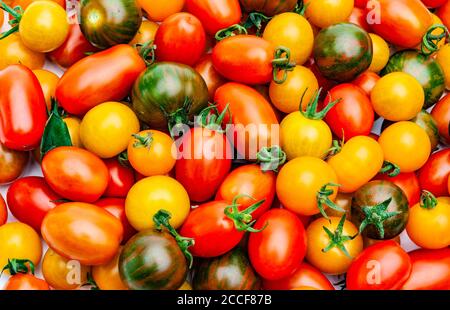 Différentes tomates cerises de couleur de la récolte fraîche Banque D'Images