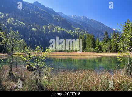 Sept sources dans le Loisachtal, Eschenlohe, Das Blaue Land, haute-Bavière, Bavière, Allemagne Banque D'Images