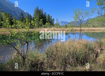 Sept sources dans le Loisachtal, Eschenlohe, Das Blaue Land, haute-Bavière, Bavière, Allemagne Banque D'Images