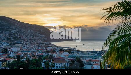 Funchal tôt avec le lever du soleil, Madère, Portugal Banque D'Images