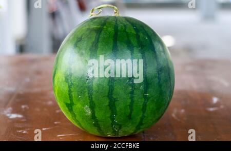 Pastèque sur fond de bois. Originaire d'Afrique de l'Ouest. Banque D'Images