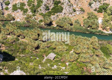 Vue sur la palmeraie sur la plage de palmiers de Preveli, centre de la Crète, Grèce Banque D'Images