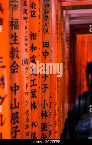 Kanji écrit sur les portes rouges du torii à Fushimi Inari Banque D'Images