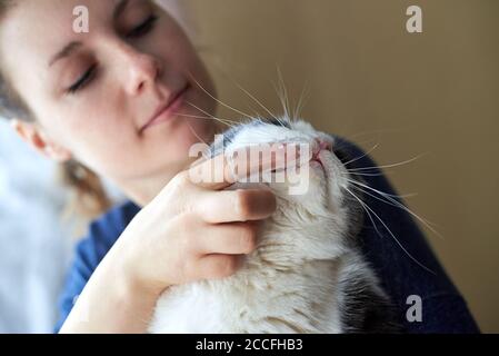 Une femme brosse les dents du chat avec une brosse à dents en silicone sur son doigt. Banque D'Images