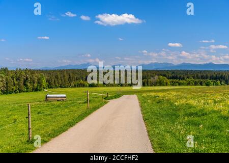 Allemagne, Bavière, haute-Bavière, Tölzer Land, Dietramszell, district de Jasberg, paysage de printemps contre chaîne alpine Banque D'Images