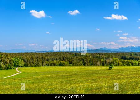 Allemagne, Bavière, haute-Bavière, Tölzer Land, Dietramszell, district de Jasberg, paysage de printemps contre chaîne alpine Banque D'Images