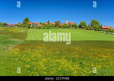 Allemagne, Bavière, haute-Bavière, Tölzer Land, Eurasburg, quartier Berg, paysage de source et vue sur la ville avec église de la branche de Saint Margaretha Banque D'Images