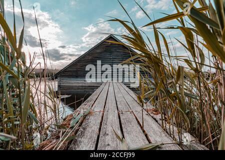 Boathouse, Federsee, Federseesteg, Bad Buchau, Bade-Wurtemberg, Allemagne, Europe Banque D'Images