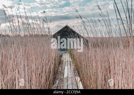 Boathouse, Federsee, Federseesteg, Bad Buchau, Bade-Wurtemberg, Allemagne, Europe Banque D'Images