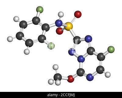 Molécule d'herbicide de florasulam. Rendu 3D. Les atomes sont représentés sous forme de sphères avec un codage couleur conventionnel : hydrogène (blanc), carbone (gris), nitroge Banque D'Images