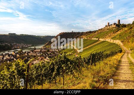 Château de 'Tdurant', vignobles de la vallée de la Moselle, Alken, Allemagne, Europe Banque D'Images