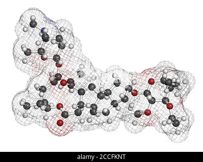 Molécule d'insecticide de Spinetoram. Rendu 3D. Les atomes sont représentés sous forme de sphères avec un codage couleur conventionnel : hydrogène (blanc), carbone (gris), nitro Banque D'Images