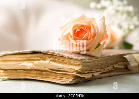 Vieux livre et Rose Rose Banque D'Images