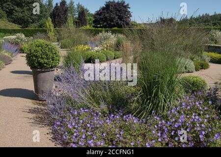Coloré été Floraison herbacée frontière avec russe Sage, géraniums et ornamentelle herbes hautes dans un jardin de campagne de Cottage dans le Devon rural Banque D'Images