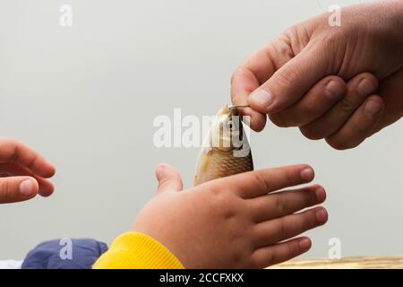 petit poisson dans les mains d'un pêcheur sur le fond de la rivière. Banque D'Images