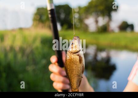 petit poisson dans les mains d'un pêcheur sur le fond de la rivière. Banque D'Images