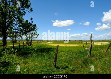 Paysage au lac Neusiedl près d'Illmitz dans le Parc National Neusiedler See, Burgenland, Autriche Banque D'Images