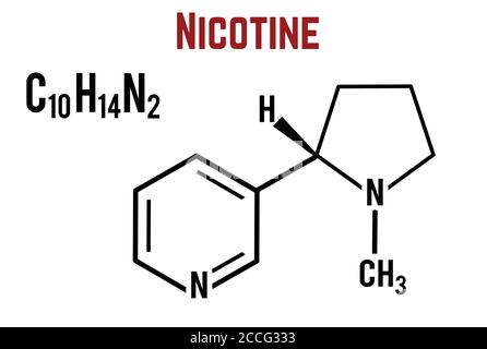 Formule chimique structurale moléculaire de nicotine sur fond blanc, illustration vectorielle Illustration de Vecteur