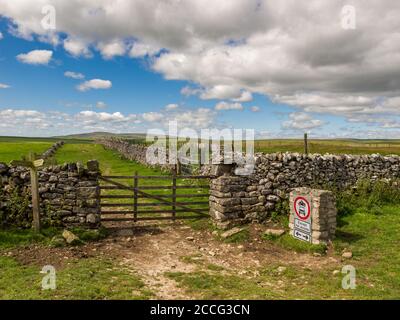 Mastiles Lane près de Malham dans les Yorkshire Dales Banque D'Images