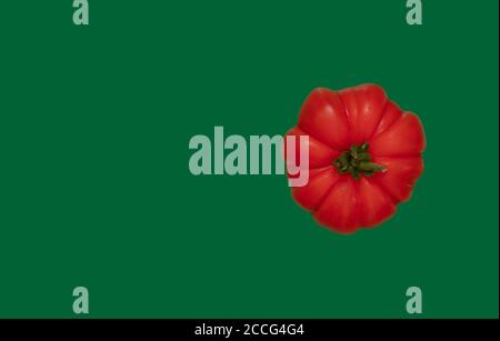 Gros plan d'une tomate biologique rouge et mûre sur le côté droit, isolée d'une couleur unie. Banque D'Images