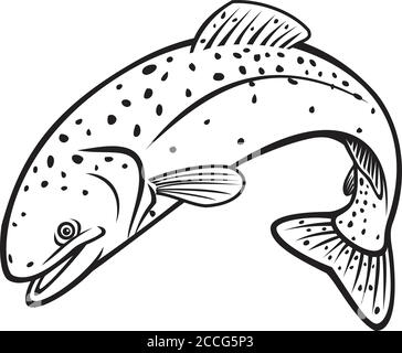 Illustration rétro de style pochoir de la truite arc-en-ciel, Oncorhynchus mykiss, truite rousse de la rivière Columbia, truite arc-en-ciel côtière, jum de salmonidés Illustration de Vecteur