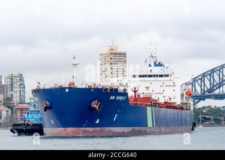 Le pétrolier BW Bobcat d'une capacité de 50,000 tonnes (DWT) de carburant est escorté dans le port de Sydney, sur le côté ouest du pont du port de Sydney Banque D'Images