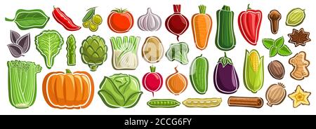 Ensemble vectoriel de légumes, groupe de dessins animés épices indiennes, divers étiquettes de légumes de conception minimale pour des nutriments sains, lot de collecte d'agric Illustration de Vecteur