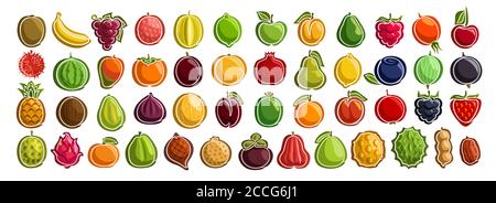 Ensemble vectoriel de fruits frais, groupe de fruits et baies de dessins animés coupés, divers étiquettes de fruits de conception minimale pour les boissons sucrées ou la crème glacée, collection o Illustration de Vecteur