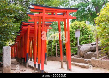 Tokyo, Japon - Sanctuaire Nezu à Tokyo, Japon. C'est l'un des dix Shrines de Tokyo. Banque D'Images