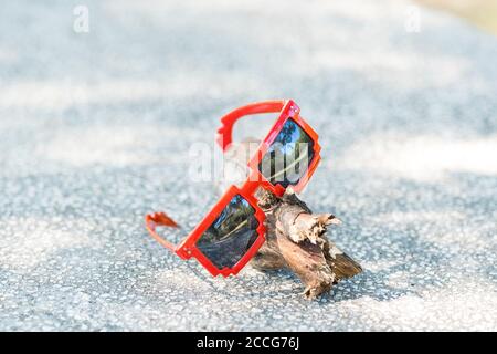 Lunettes de soleil rouges avec verres noirs en gros plan par temps ensoleillé. Mise au point sélective Banque D'Images