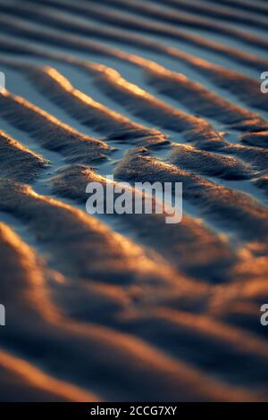 Europe, Allemagne, Basse-Saxe, Otterndorf. Soirée dorée lumière sur les rainures de sable plat des vasières. Banque D'Images