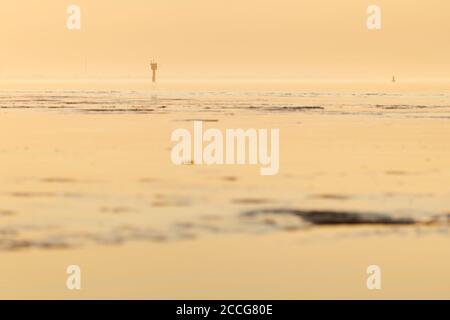 Europe, Allemagne, Basse-Saxe, Otterndorf. Golden Evening lumière brille sur les platières de boue en face d'Otterndorf et de l'Elbe extérieur. En arrière-plan, Banque D'Images