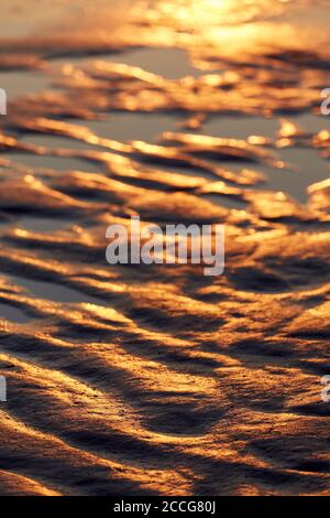 Europe, Allemagne, Basse-Saxe, Otterndorf. Lumière du soir dorée dans la mer des Wadden. Banque D'Images