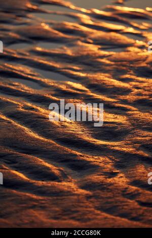 Europe, Allemagne, Basse-Saxe, Otterndorf. Lumière du soir dorée dans la mer des Wadden. Banque D'Images