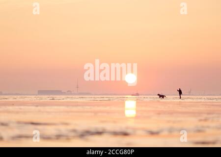 Europe, Allemagne, Basse-Saxe, Otterndorf. Dans la douce lumière du soleil couchant, une femme marche à travers les vasières avec son chien. Banque D'Images