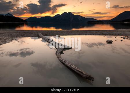 Vieux tronc d'arbre sur les rives du Walchensee à des niveaux d'eau bas, en arrière-plan les Prealps bavarois des montagnes Ester. Herzogstand, Heimgar Banque D'Images