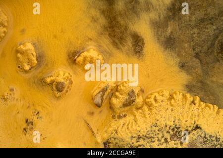 Photo macro du pollen jaune sur les rives de l'Eibsee. Une partie de celui-ci se déplace à travers la vague et d'autres bâtons à la pierre avec des motifs bizarres. Banque D'Images