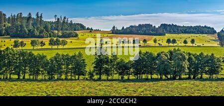 Rangée d'arbres au-dessus du cours d'eau dans les collines de Nizky Jesenik chaîne dans l'est des Sudètes près de la ville de Bruntal, région morave-Silésie, Silésie, République Tchèque Banque D'Images