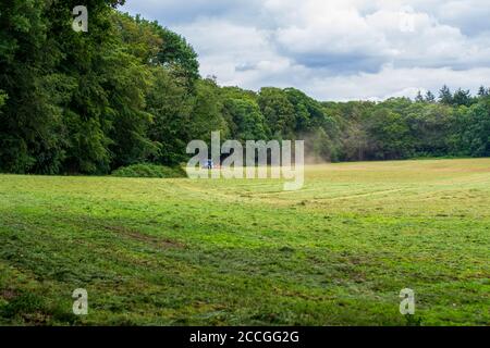 Champ d'exploitation d'herbe verte avec tracteur bleu avec un râteau rotatif à distance râtelant de l'herbe fraîchement coupée dans le champ. Banque D'Images