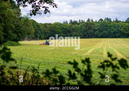 Champ d'herbe verte avec tracteur bleu avec un râteau rotatif racant de l'herbe fraîchement coupée dans le champ. Banque D'Images