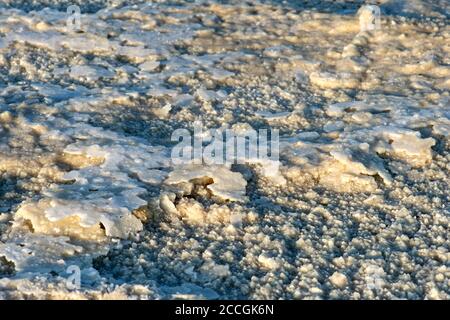 Croûte de sel de roche sur le lac de sel d'Assale, lac Assale, situé à plus de 100 m sous le niveau de la mer, Hamadela, dépression de Danakil, triangle d'Afar, Éthiopie Banque D'Images