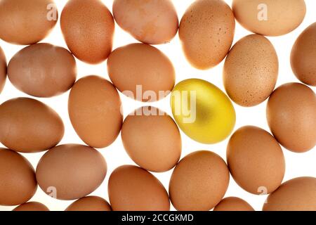Gros plan poule aux œufs d'or de pâques entourée d'œufs frais de la nature sur fond blanc Banque D'Images