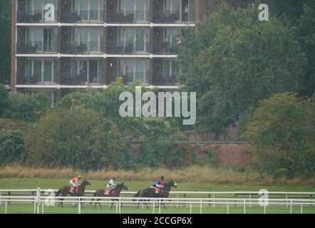 Une vue générale pendant que les coureurs se rendent au départ pour le Sky Bet Melrose handicap pendant le quatrième jour du Yorkshire Ebor Festival à l'hippodrome de York. Banque D'Images