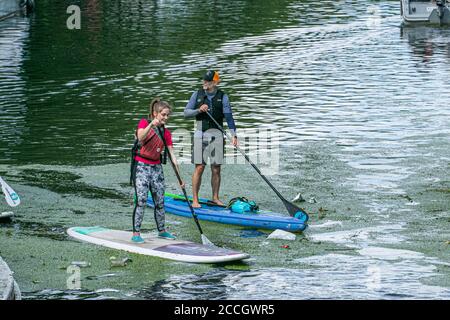 LITTLE VENICE LONDRES, Royaume-Uni - 22 août 2020 personnes paddle-board sur le canal de Grand Union à Little Venice lors d'une journée chaude avec des sorts ensoleillés à Londres. Credit: amer ghazzal / Alamy Live News Banque D'Images