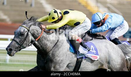 Le prince Fujaira, monté par Andrea Atzeni (silks jaune et noir), remporte le Sky Bet Ebor handicap au cours du quatrième jour du Yorkshire Ebor Festival à l'hippodrome de York. Banque D'Images