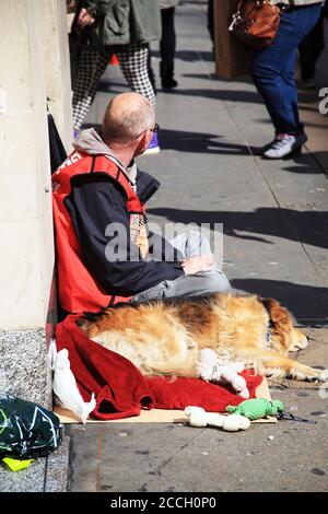 Londres, Royaume-Uni, le 11 avril 2012 : UN homme adulte sans-abri Grand vendeur à Oxford Street reposant sur la chaussée avec son chien à son image de photo de stock de côté Banque D'Images