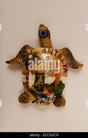 Accessoires magnétiques pour réfrigérateur pour appareils décoratifs intérieurs dans un fond blanc isolé. Banque D'Images