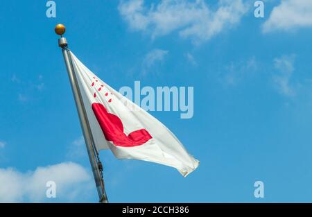 Lone Star Monument et Historical Flags Park (Texas Revolution Flags) à Conroe, Texas. Banque D'Images