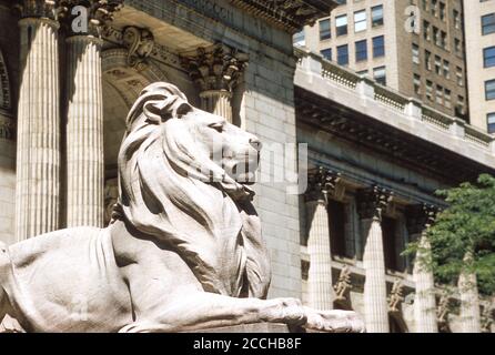 Statue de Lion, New York Public Library, branche principale, NYC Banque D'Images