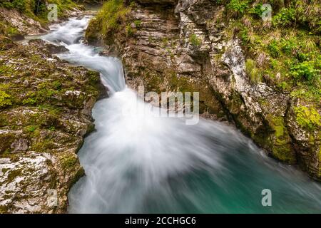 Vue panoramique sur la gorge slovène de Vintgar, avec un torrent qui coule entre les rochers et dans les rapides entourés de végétation Banque D'Images